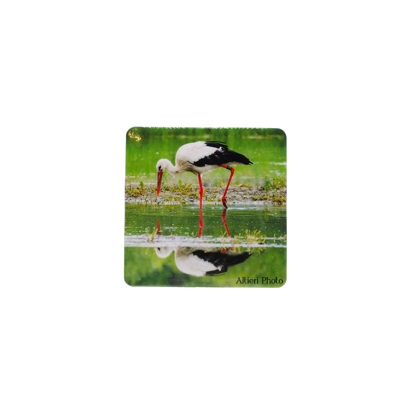 Magnet Altieri Photo