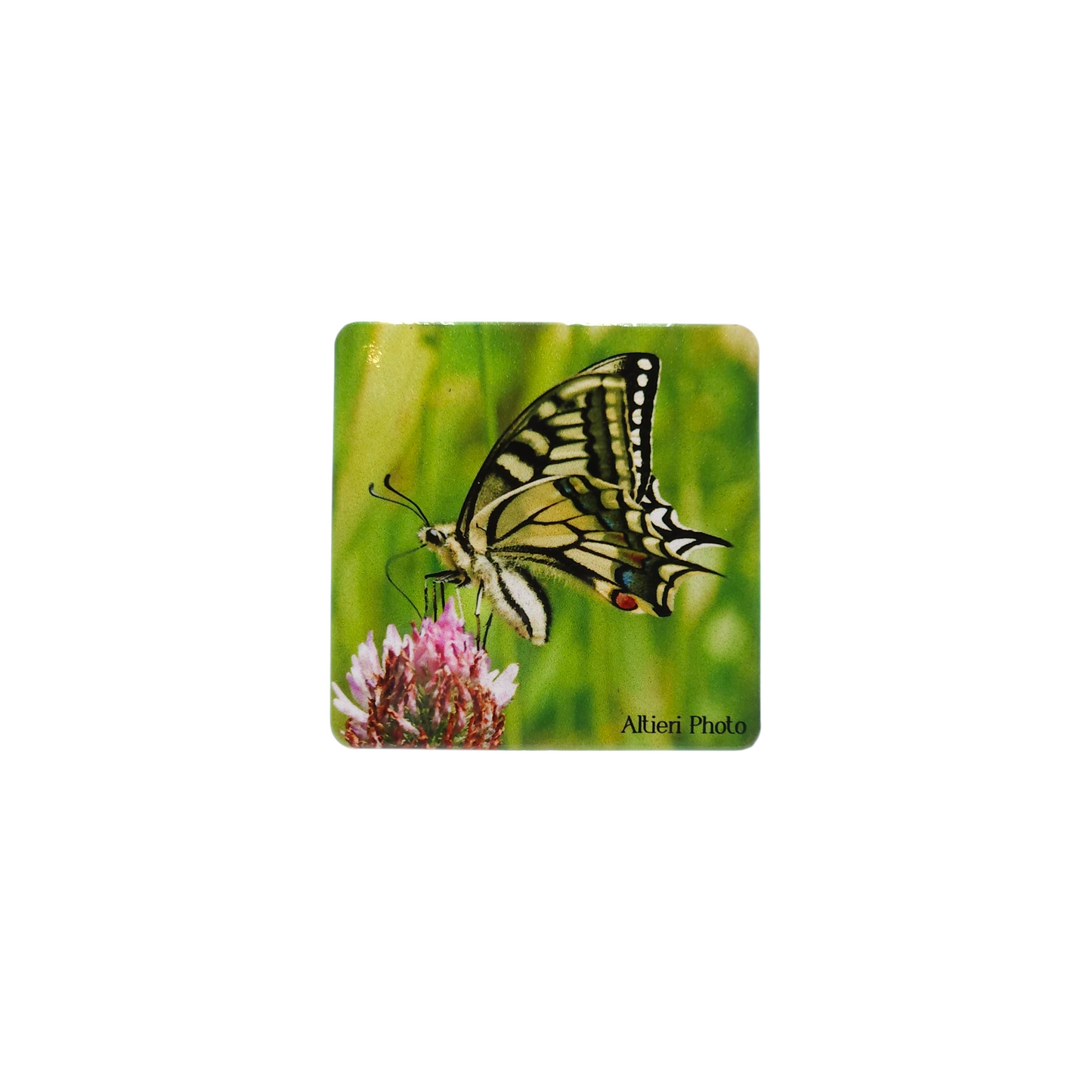 Magnet Altieri Photo